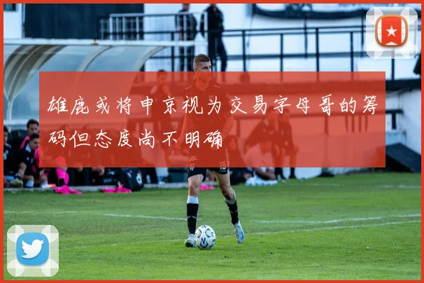 雄鹿或将申京视为交易字母哥的筹码但态度尚不明确